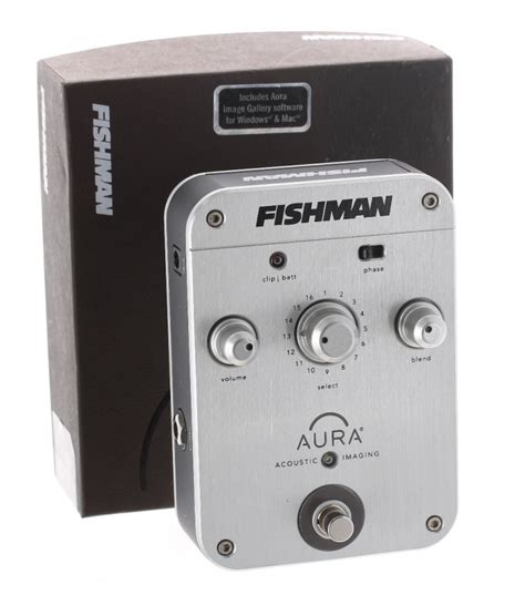 fishman aura floor box
